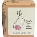 Zestaw do uprawy na prezent, kosmos, 