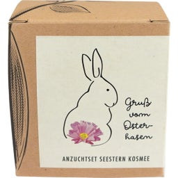 Zestaw do uprawy na prezent, kosmos, 