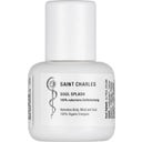 SAINT CHARLES Synergie Parfumée SOUL SPLASH - 15 ml