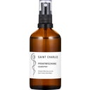 SAINT CHARLES Razpršilo za prostor zasebna mešanica - 100 ml