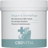 CBD VET Magen & Darmpflege