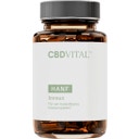 CBD VITAL Hanf Immun - 60 Kapsułek