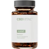 CBD VITAL Kender Immun