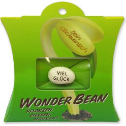 Feel Green Wonder Bean - Buona Fortuna - 1 pz.